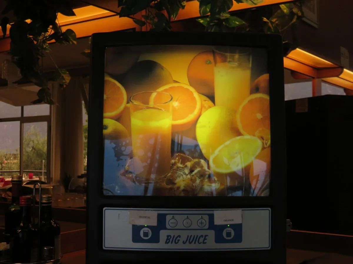Hotel Garden Limone sul Garda